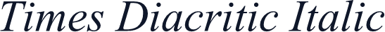 Times Diacritic Italic