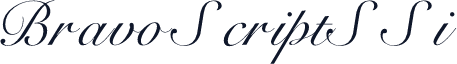 BravoScriptSSi