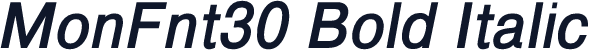 MonFnt30 Bold Italic