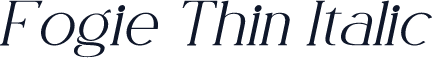 ☞Fogie Thin Italic