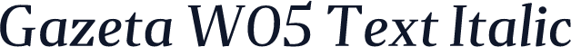 Gazeta W05 Text Italic