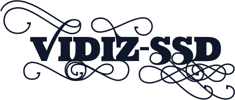 VIDIZ-ssD