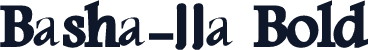 Basha-11a Bold