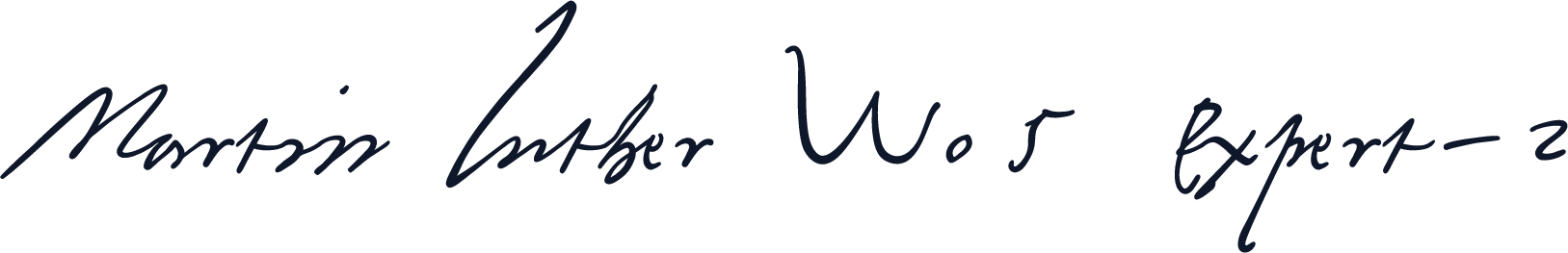 Martin Luther W05 Expert-2