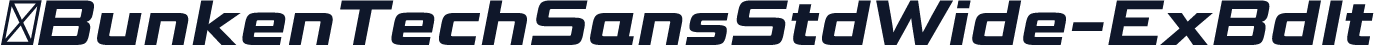 ☞BunkenTechSansStdWide-ExBdIt