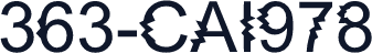 363-CAI978