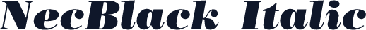 NecBlack Italic