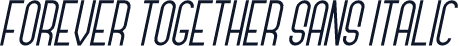 Forever Together Sans Italic