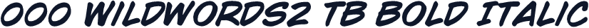 000 Wildwords2 TB Bold Italic