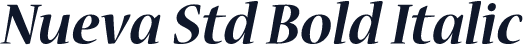 Nueva Std Bold Italic