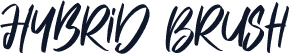 Hybrid Brush