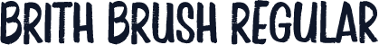 BRITH BRUSH Regular