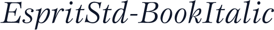 EspritStd-BookItalic