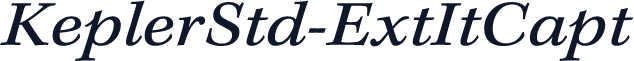 KeplerStd-ExtItCapt