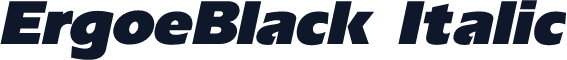 ErgoeBlack Italic
