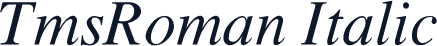 TmsRoman Italic