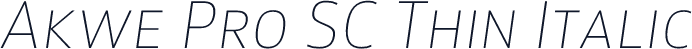 Akwe Pro SC Thin Italic