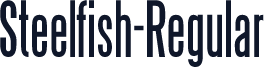 Steelfish-Regular