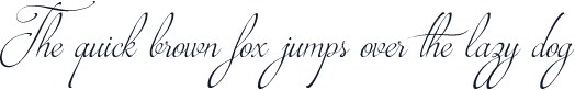 Brotherhood Script