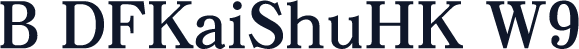B DFKaiShuHK W9