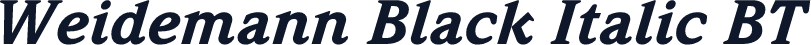 Weidemann Black Italic BT