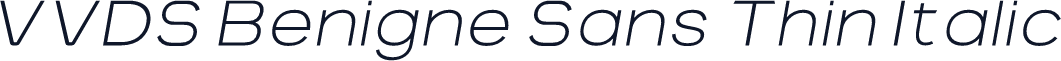 VVDS Benigne Sans Thin Italic