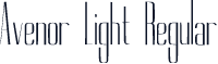 Avenor Light Regular