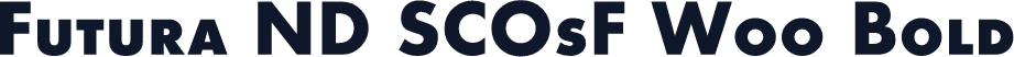 Futura ND SCOsF W00 Bold