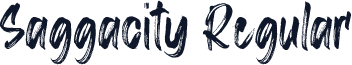 Saggacity Regular
