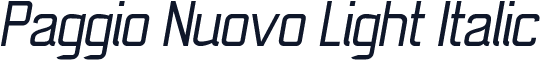 Paggio Nuovo Light Italic