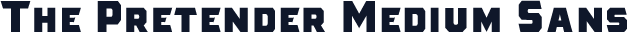 The Pretender Medium Sans