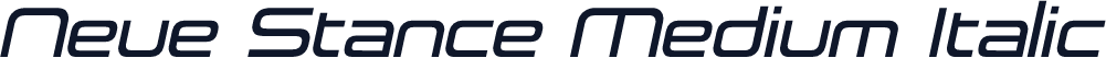 Neue Stance Medium Italic