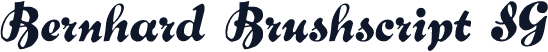 Bernhard Brushscript SG