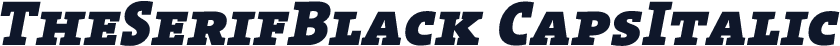 TheSerifBlack CapsItalic