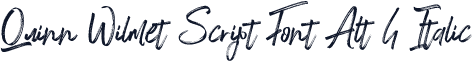 Quinn Wilmet Script Font Alt 4 Italic