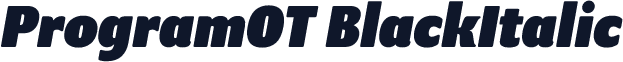 ProgramOT BlackItalic