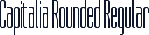Capitalia Rounded Regular