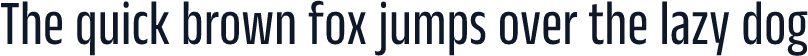 Anek Kannada Condensed Regular