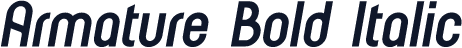 Armature Bold Italic