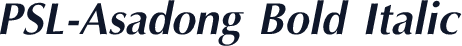 PSL-Asadong Bold Italic
