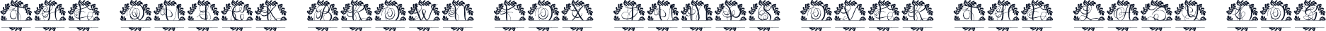 Virentia Split Monogram