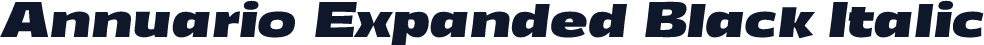 Annuario Expanded Black Italic