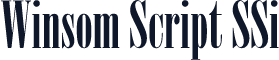 Winsom Script SSi