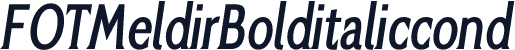 FOTMeldirBolditaliccond