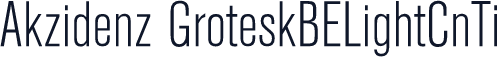 Akzidenz GroteskBELightCnTi