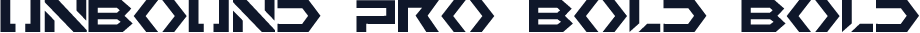 Unbound Pro Bold Bold