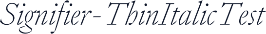 Signifier-ThinItalicTest