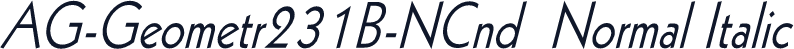 AG-Geometr231B-NCnd  Normal Italic