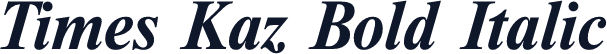 Times Kaz Bold Italic