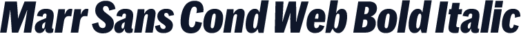 Marr Sans Cond Web Bold Italic